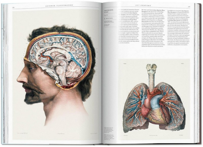 Science Illustration. A History of Visual Knowledge from the 15th Century to Today - фото 8