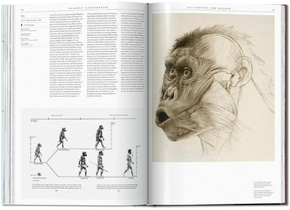 Science Illustration. A History of Visual Knowledge from the 15th Century to Today - фото 10