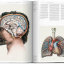Science Illustration. A History of Visual Knowledge from the 15th Century to Today - фото 8