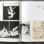 The Fantastic Worlds of Frank Frazetta - фото 5