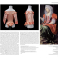 Seventeenth-Century Women&#039;s Dress Patterns - фото 2