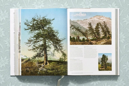 The Alps 1900. A Portrait in Color - фото 8