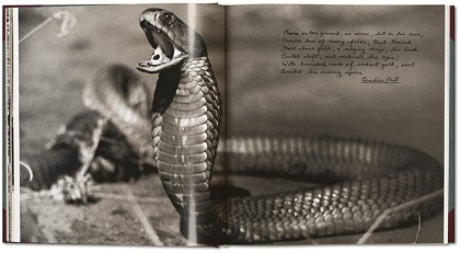 Peter Beard. The End of the Game - фото 2