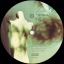 Cocteau Twins &ndash; Treasure - фото 4