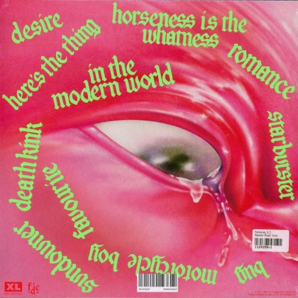 Fontaines D.C. &ndash; Romance - фото 2