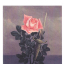 Le Coup au Coeur, 1956 - фото 1