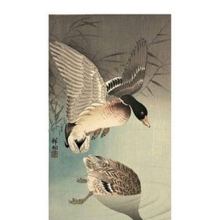 Two Wild Ducks in Flight Above Reeds, a Full Moon Behind