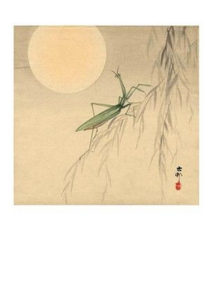 Praying Mantis and Full Moon, between 1900-1919 - фото 1