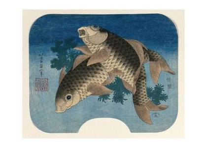 Carp Swimming by Water Weeds, 1831 - фото 1