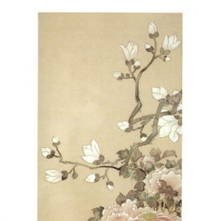 Peonies, Magnolia and Dandelions