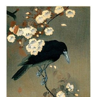 Crow and Blossom, 1910