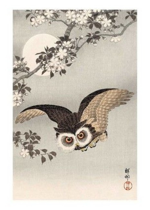 Scops Owl, Cherry Blossoms and Moon, 1926 - фото 1