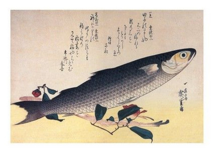 Grey Mullet and Camellia - фото 1