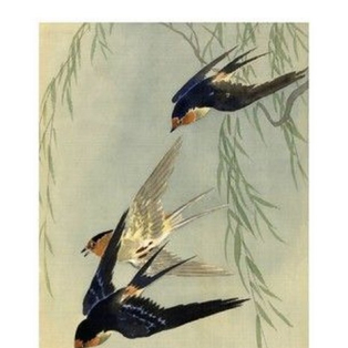 Three Birds in Full Flight