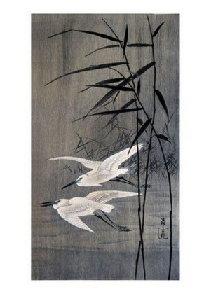 Little Egrets in Flight - фото 1