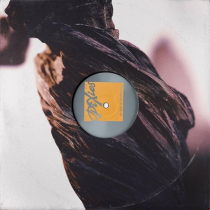 Pixies &ndash; The Night The Zombies Came - фото 1