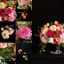 Cathy B. Graham: Full Bloom - фото 7