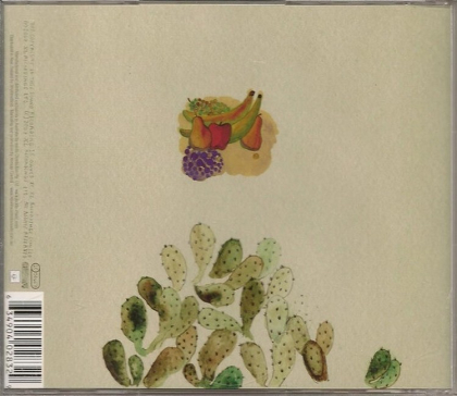 Devendra Banhart &ndash; Smokey Rolls Down Thunder Canyon - фото 2