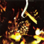 Nirvana &ndash; Incesticide - фото 4