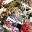 Floret Farm's. Cut Flower Garden. 100 Postcards - фото 5