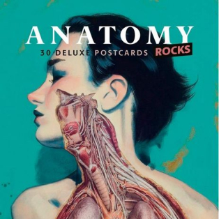 Anatomy Rocks. 30 Deluxe Postcards