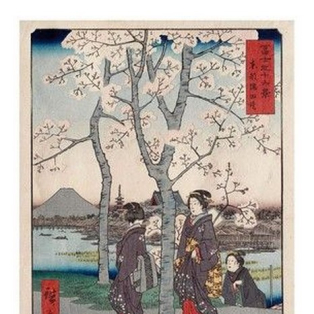 Cherry Tree, 1858