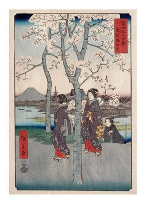 Cherry Tree, 1858 - фото 1