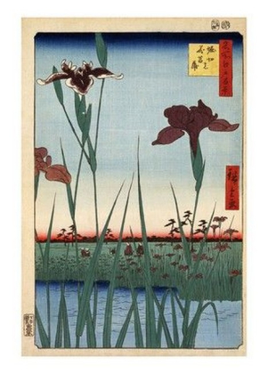 Horikiri Iris Garden, 1857 - фото 1