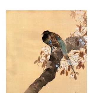 Pheasant on Cherry Blossom Branch