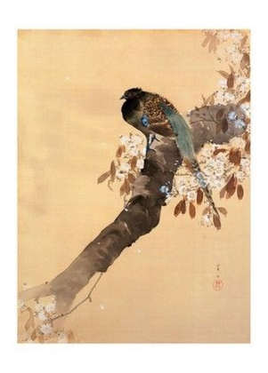 Pheasant on Cherry Blossom Branch - фото 1