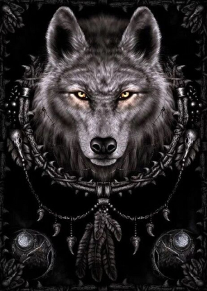 Spiral - Wolf Dreams - фото 1