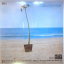 Neil Young &ndash; On The Beach 50 - фото 2
