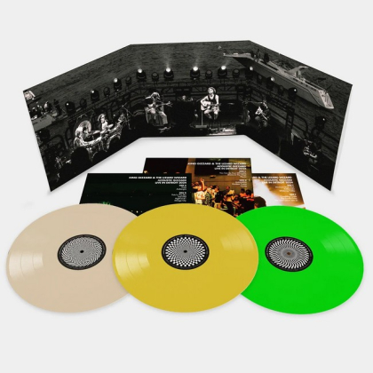King Gizzard And The Lizard Wizard &ndash; Acoustic Gizzard Live In Detroit 2024 - фото 2