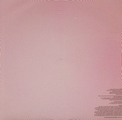 MGMT &ndash; Oracular Spectacular - фото 6