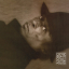 Miles Davis &ndash; Decoy - фото 1