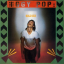 Iggy Pop &ndash; Soldier - фото 1