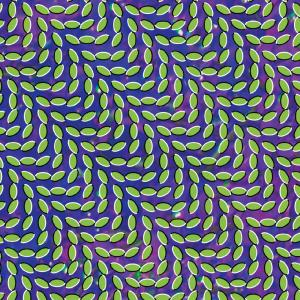 Animal Collective &ndash; Merriweather Post Pavilli - фото 1
