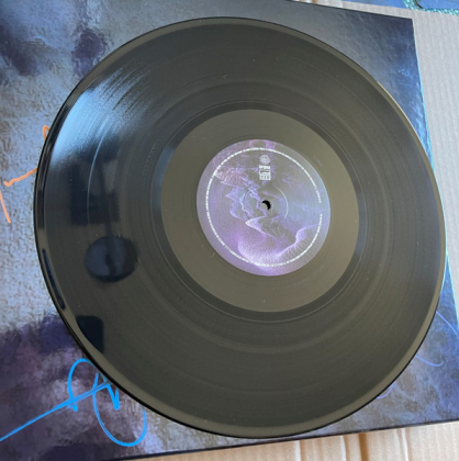Tool &ndash; Fear Inoculum - фото 9