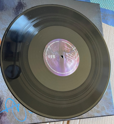 Tool &ndash; Fear Inoculum - фото 10