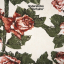 Tindersticks &ndash; Curtains - фото 1