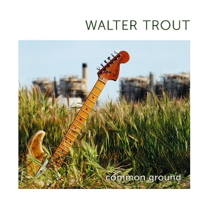 Walter Trout &ndash; Common Ground - фото 1