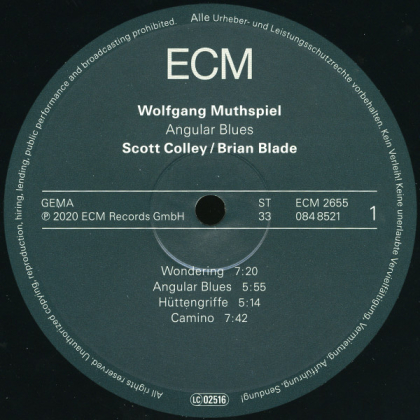 Wolfgang Muthspiel, Scott Colley, Brian Blade &ndash; Angular Blues - фото 3