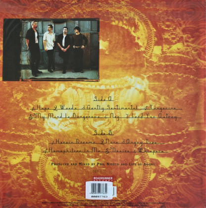 Life of Agony &ndash; Soul Searching Sun - фото 2