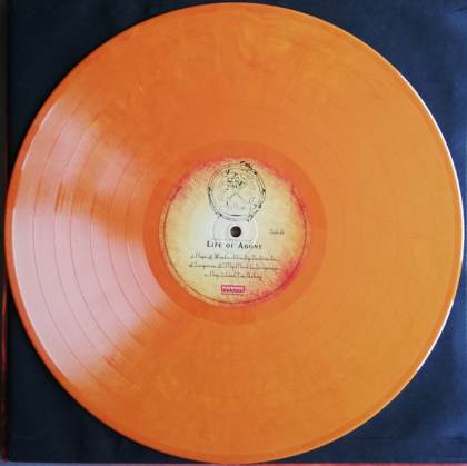 Life of Agony &ndash; Soul Searching Sun - фото 3