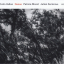 Colin Vallon Trio &ndash; Danse - фото 1