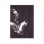 Miroslav Vitous &ndash; Universal Syncopations - фото 5