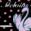 Melvins &ndash; Stoner Witch - фото 1