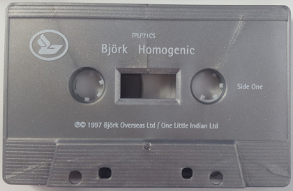 Bj&ouml;rk &ndash; Homogenic - фото 3