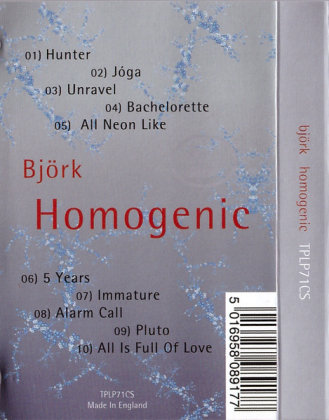 Bj&ouml;rk &ndash; Homogenic - фото 2