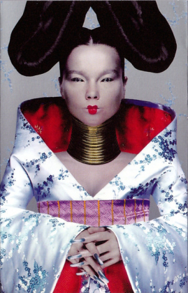 Bj&ouml;rk &ndash; Homogenic - фото 1